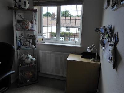 Picture 8